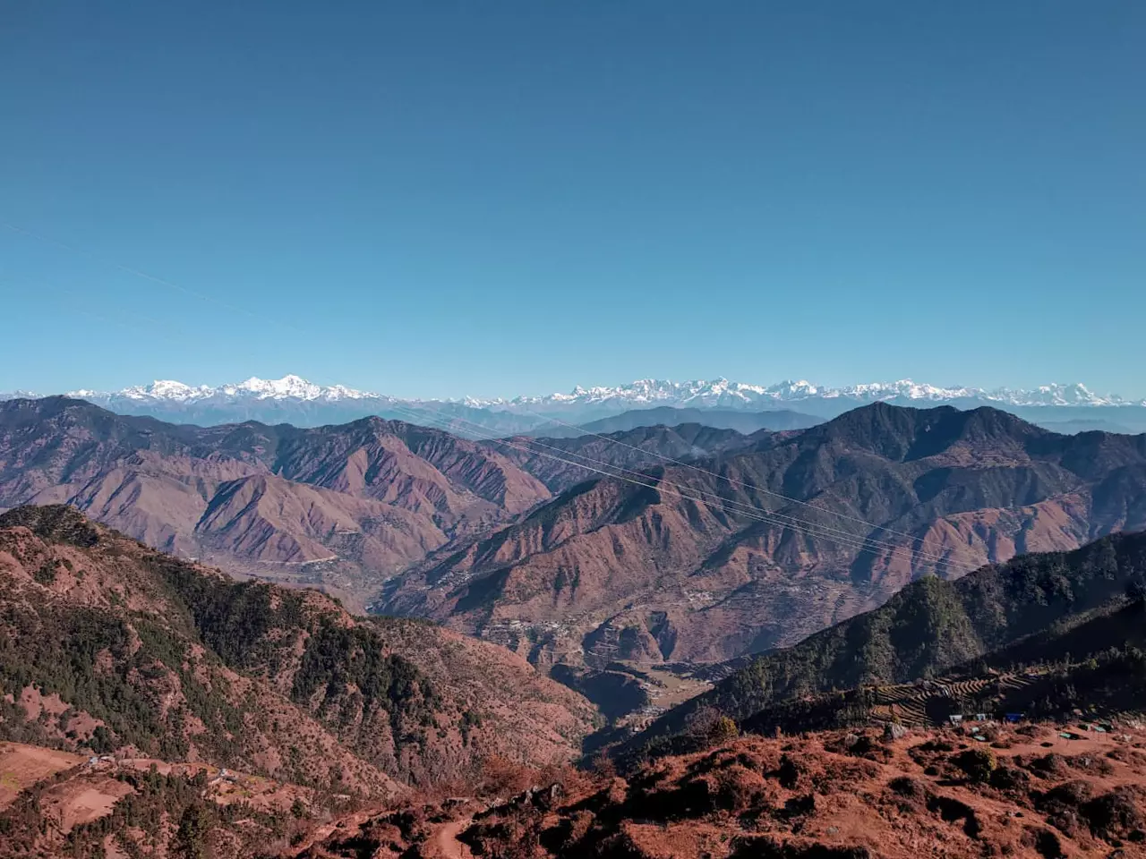 thelocalfeet_home_background