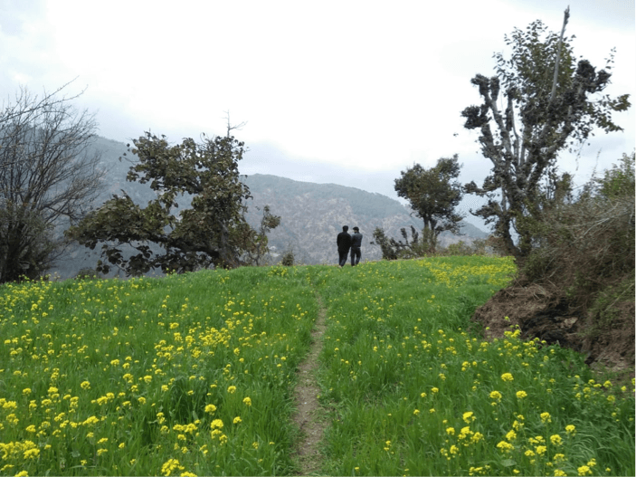 Discover slow-paced rustic life at these 4 village home stays in India